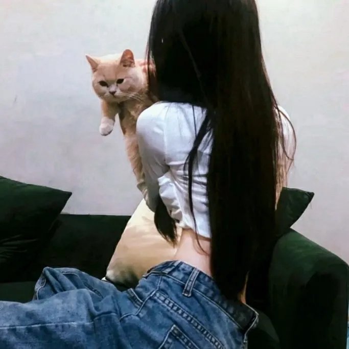 汪星人的奇思妙想