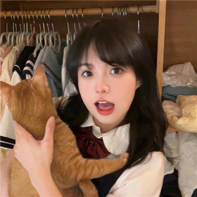 断线森林2